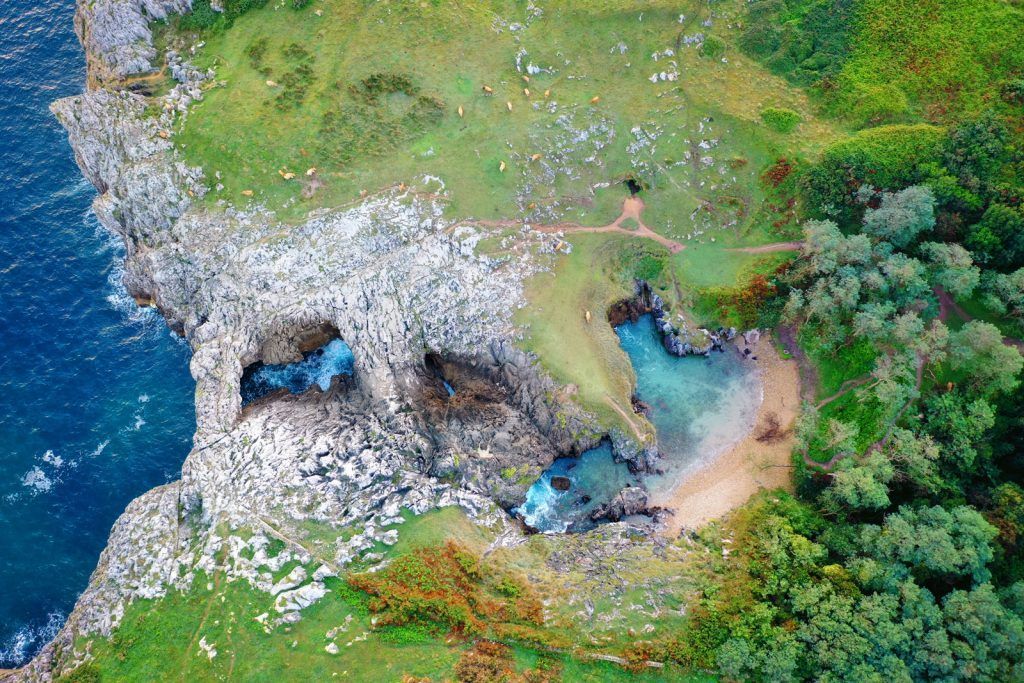 cobijeru1